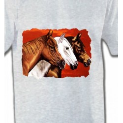 T-Shirts Cheval Têtes de chevaux (B4)