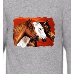 Sweatshirts Cheval Têtes de chevaux (B4)