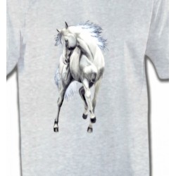 Le cheval blanc d'andalou (G2)