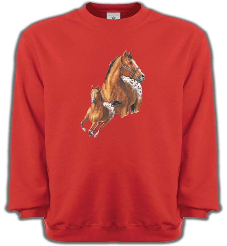 Sweatshirts Unisexe Cheval T-shirt cheval Appaloosa (G)