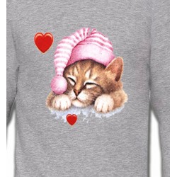 Sweatshirts Races de chats Chaton avec bonnet rose (S2)