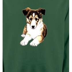 Sweatshirts Races de chiens Bébé Colley (C)