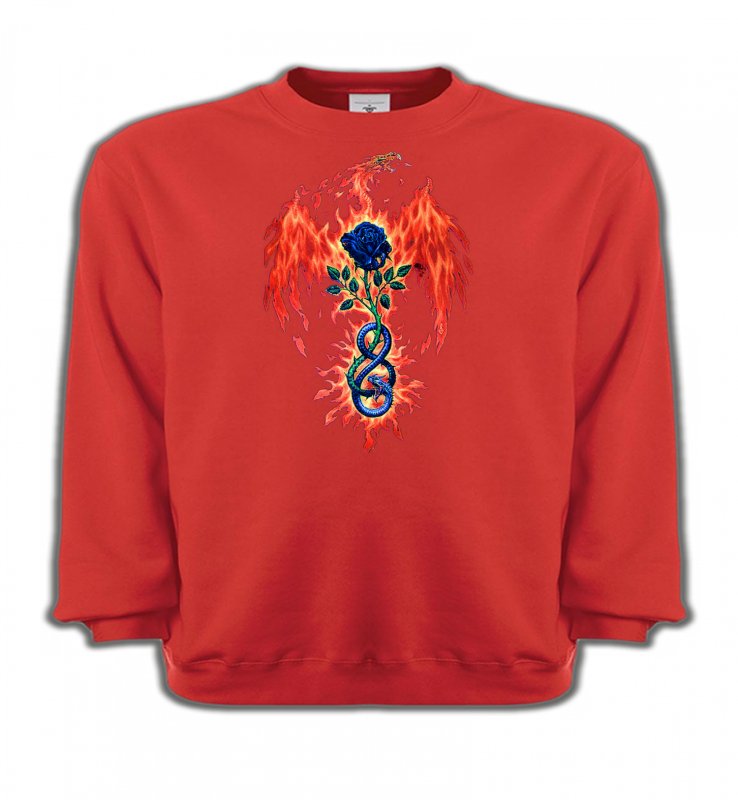 Sweatshirts Enfants Dragons Dragon de feu (K4)