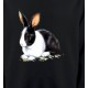 Lapin noir et blanc