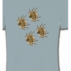 T-Shirts Animaux de la nature Araignées