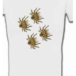 T-Shirts Arachnides Araignées