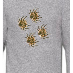 Sweatshirts Arachnides Araignées