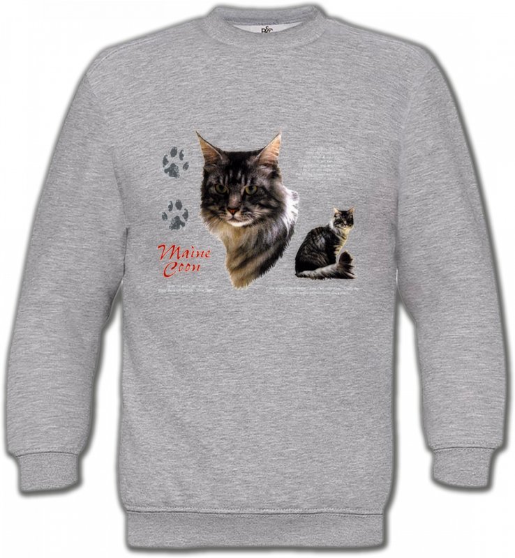 Sweatshirts Unisexe Races de chats Chat Maine Coon gris (M)