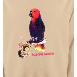 Sweatshirts oiseaux exotiques Perroquet Electus femelle (I)