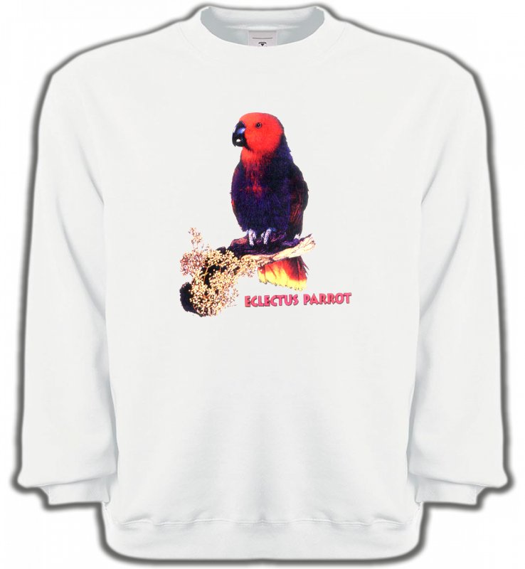 Sweatshirts Unisexe oiseaux exotiques Perroquet Electus femelle (I)