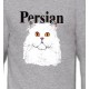 Chat Persan (H2)