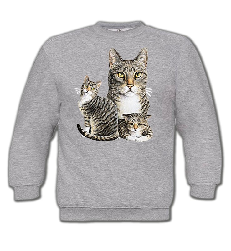 Sweatshirts Enfants Races de chats Chats tigré gris (M2)