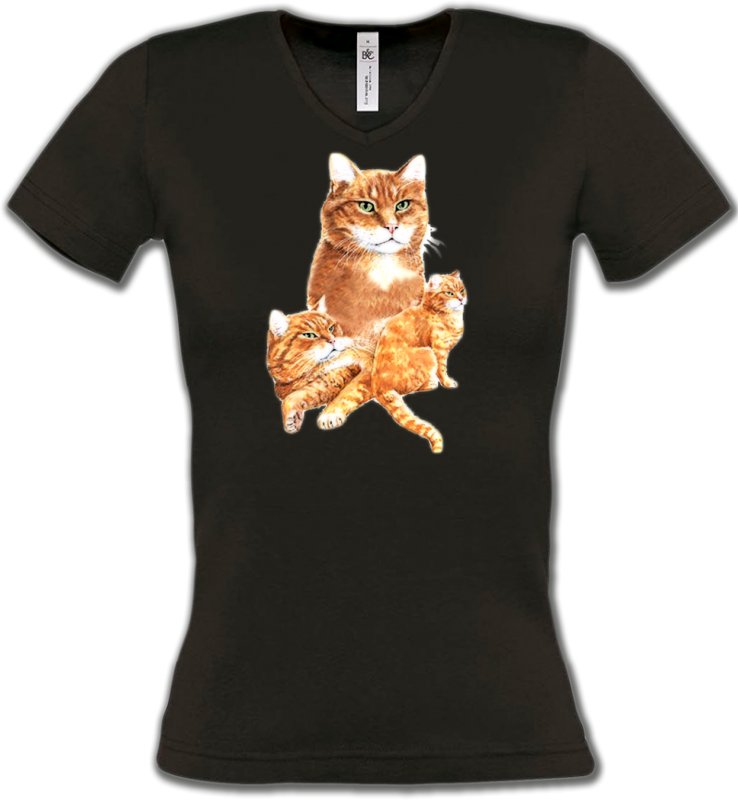 T-Shirts Col V Femmes Races de chats Chat tigré roux (L2)