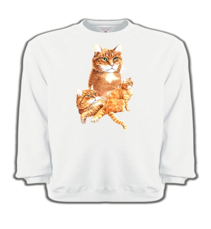 Sweatshirts Enfants Races de chats Chat tigré roux (L2)