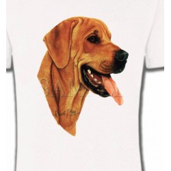 T-Shirts Races de chiens Labrador sable (J)
