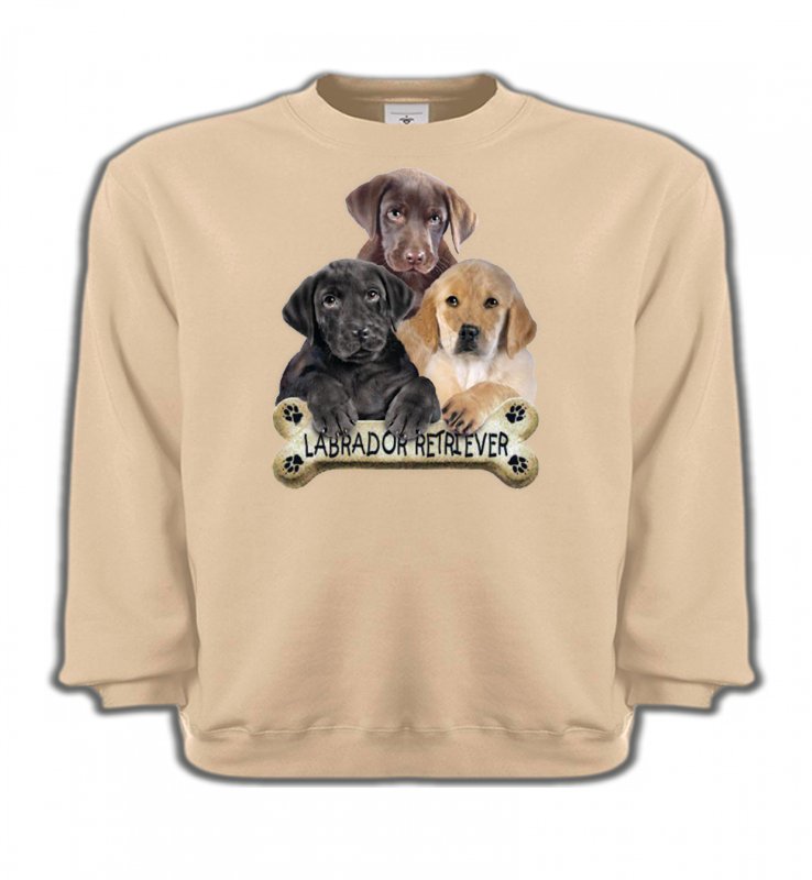 Sweatshirts Enfants Labrador Bébé labrador noir chocolat et sable (P)