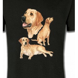 T-Shirts T-Shirts Col Rond Enfants Labrador sable  (E)