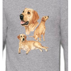 Sweatshirts Races de chiens Labrador sable  (E)