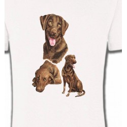T-Shirts Races de chiens Labrador chocolat  (F)