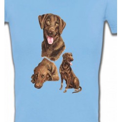T-Shirts Labrador Labrador chocolat  (F)