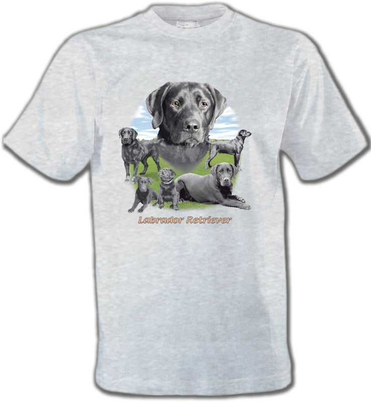 T-Shirts Col Rond Unisexe Labrador Labrador paysage gris paysage (O)