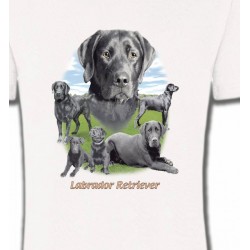 T-Shirts T-Shirts Col Rond Unisexe Labrador paysage gris paysage (O)