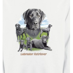 Sweatshirts Races de chiens Labrador paysage gris paysage (O)