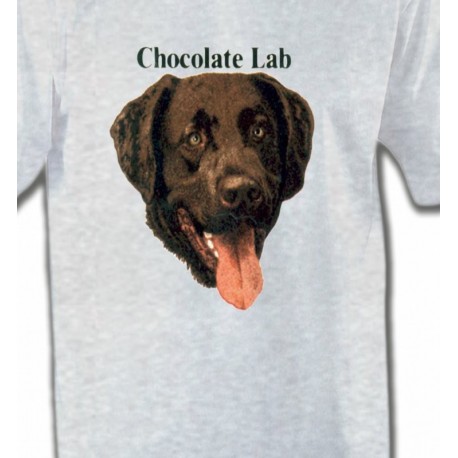 Tête de Labrador chocolat (W)