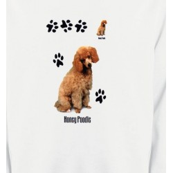 Sweatshirts Races de chiens Caniche miel  (P)