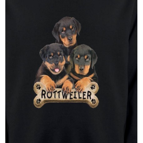 Bébés Rottweilers (R)