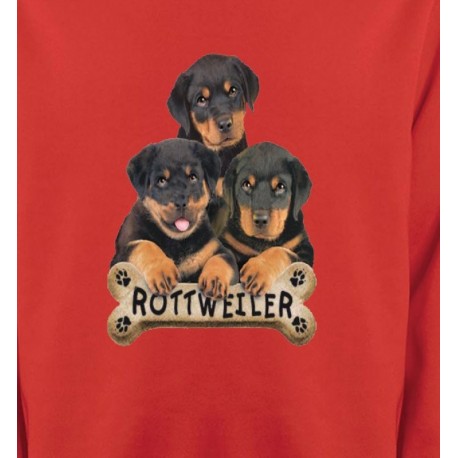 Bébés Rottweilers (R)