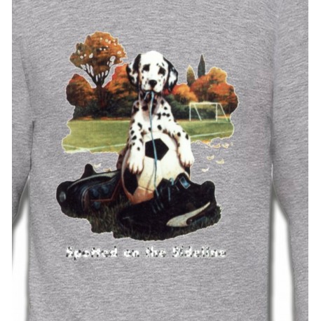 Dalmatien Football(M)