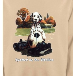 Sweatshirts Races de chiens Dalmatien Football(M)