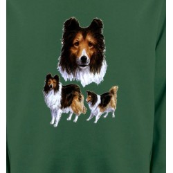 Sweatshirts Races de chiens Colley (F)