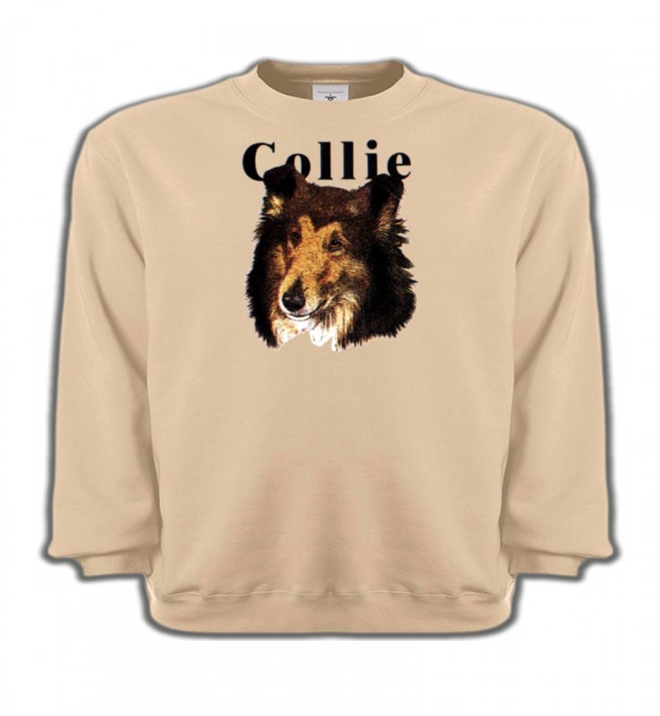 Sweatshirts Enfants Colley Colley (I)