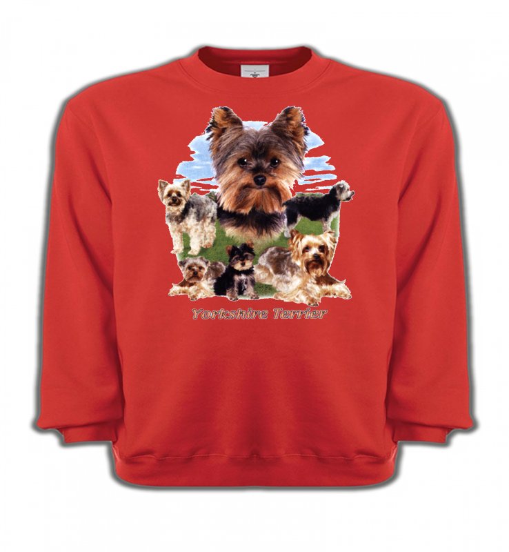 Sweatshirts Enfants Yorkshires Yorkshire terrier Paysage (B)