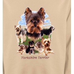 Sweatshirts Yorkshires Yorkshire terrier Paysage (B)