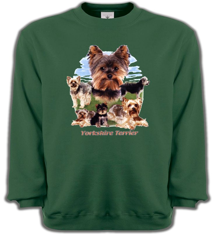 Sweatshirts Unisexe Yorkshires Yorkshire terrier Paysage (B)