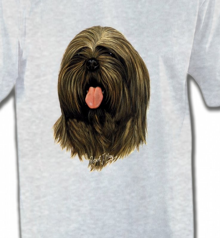 Lhassa Apso (C)