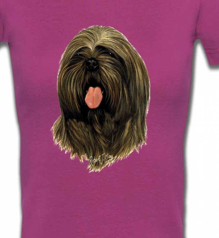 Lhassa Apso (C)