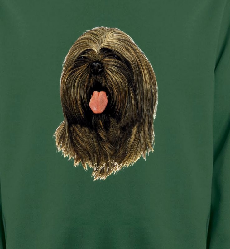 Lhassa Apso (C)