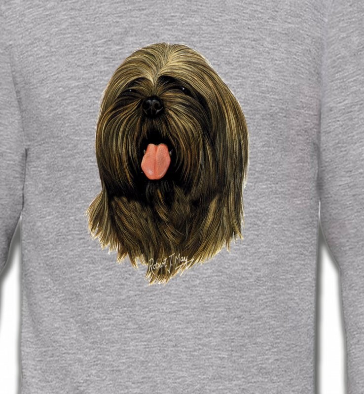 Lhassa Apso (C)