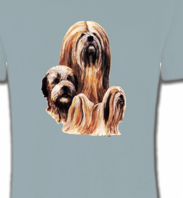 Lhassa Apso (A)