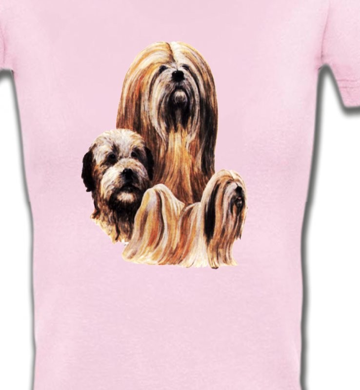 Lhassa Apso (A)