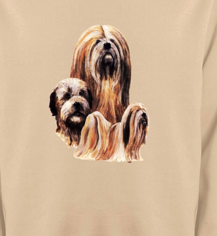 Lhassa Apso (A)