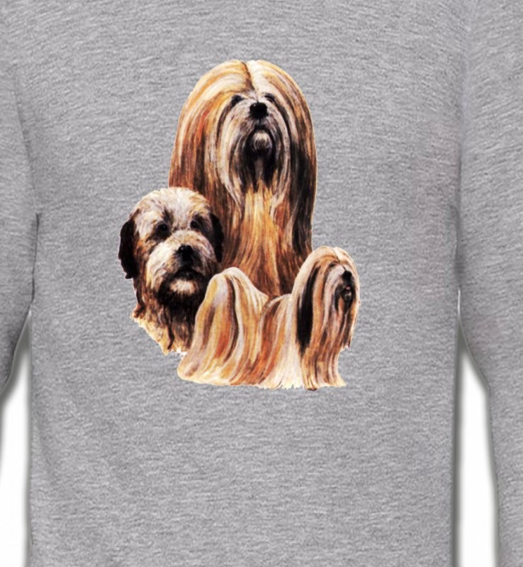 Lhassa Apso (A)