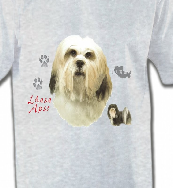 Lhassa Apso (B)