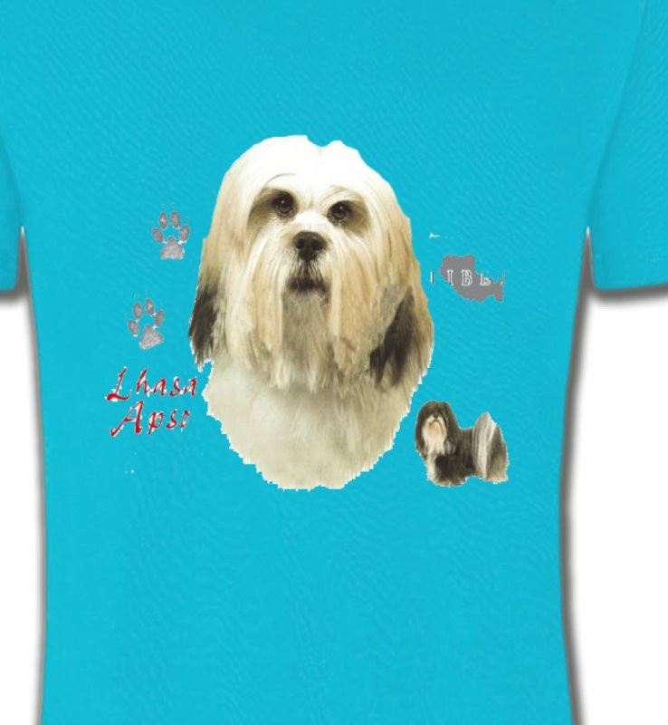 Lhassa Apso (B)