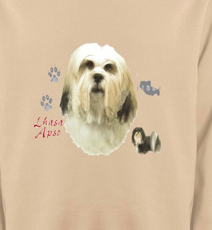 Lhassa Apso (B)