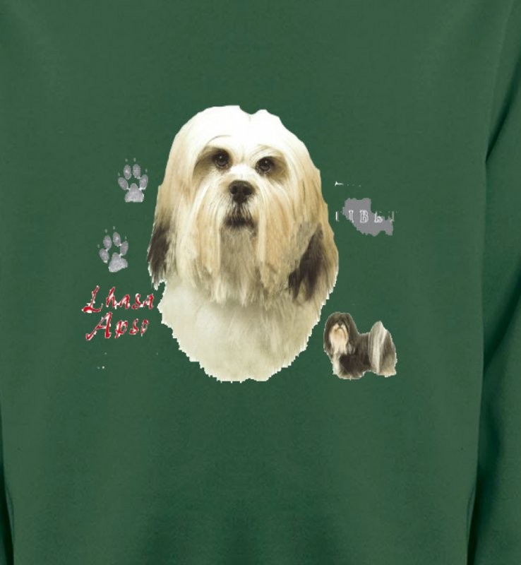 Lhassa Apso (B)